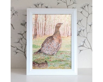 Bird illustration, bird watercolor, bird art, bird painting, watercolor painting, watercolor illustration: capercaillie in the woods