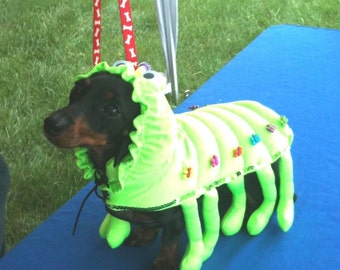 Dog Halloween Costume-caterpillar