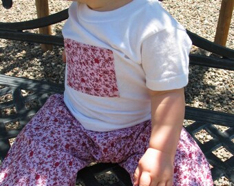Pink and red roses...shirt and pant set 12m
