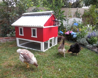 Easy Clean Chicken Coop