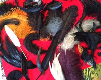 Plumes !