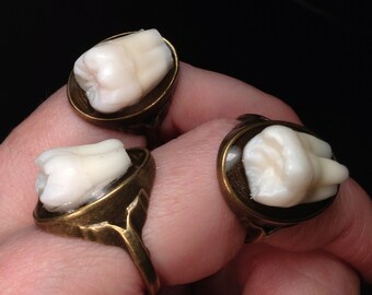 LAST ONE - Tooth Fairy Series: Real Human Molar Antique Brass Size 6 Ring - Brass Option