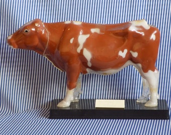 Visible Cow Anatomical model