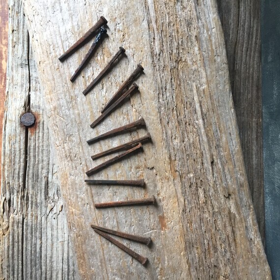 Antique Square Nails 1800s Salvaged Common Nails Set of 12