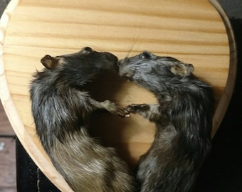 Personalized custom rat half mounts heart plaque..