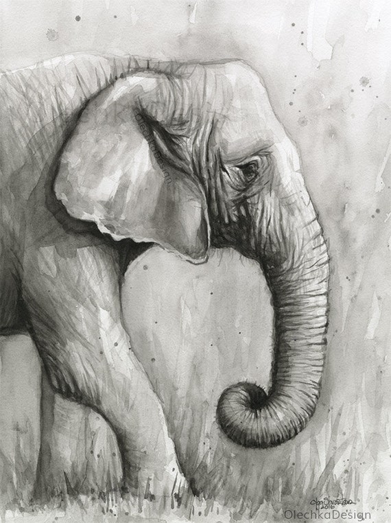 Elephant Watercolor Painting Black and White Portrait Art