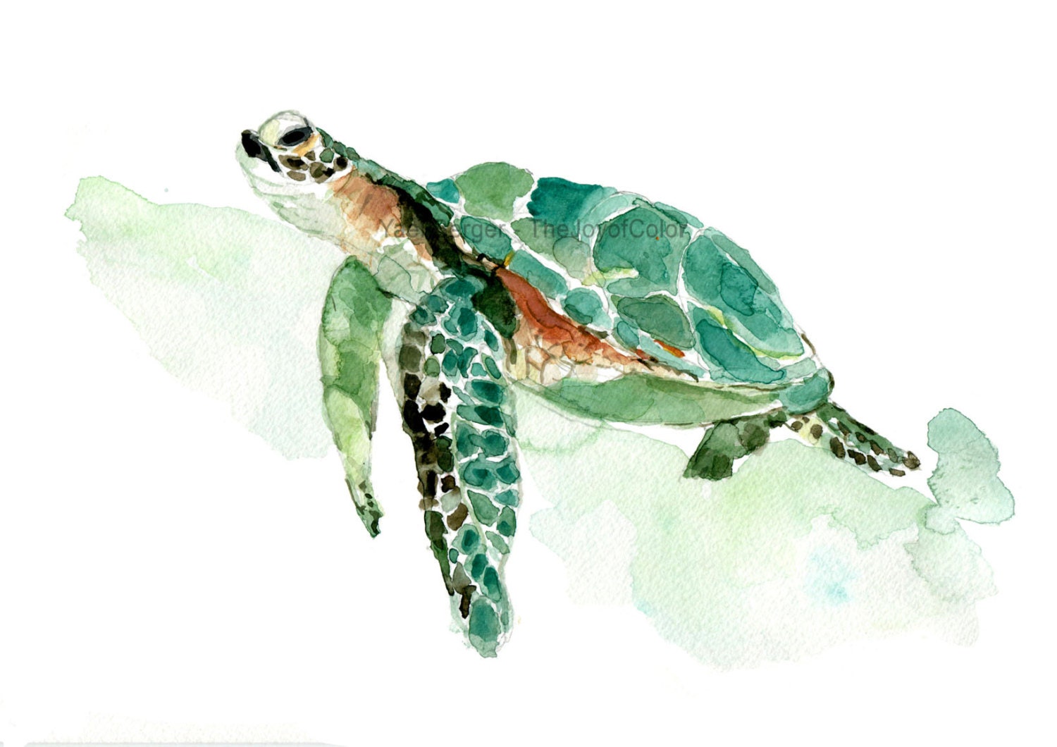 Sea turtle watercolor print sea turtle painting sea life