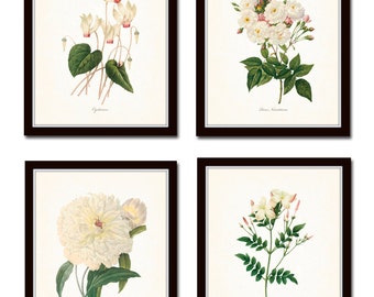Redoute White Botanicals Print Set No. 2, Giclee, Art Prints, Antique Botanical Prints, Wall Art, Prints, Rose, Peony, White Flower Prints