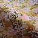 Japanese Golden yellow Cherry Blossom cotton Fabric fat quarter, quilt decoration japanese floral cotton fabric, japanese fabric by yard