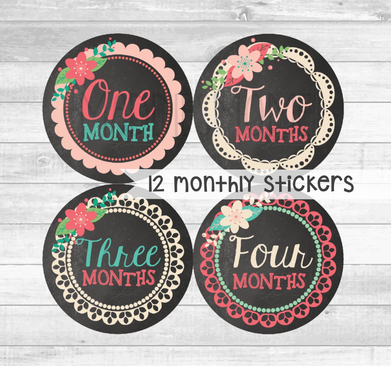 Baby Girl Monthly Stickers INSTANT DOWNLOAD DIY Printable