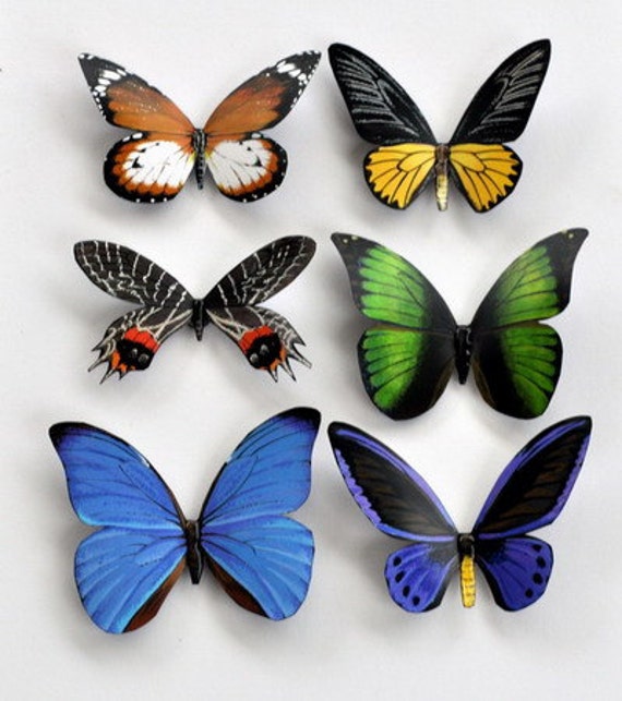 Butterfly Insects Set of 6 Refrigerator