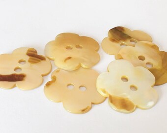 Pretty shell button lot 1"-6pc