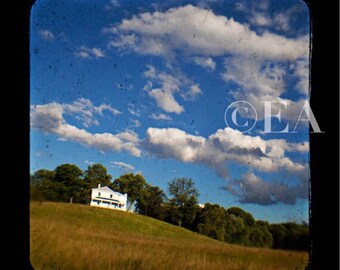 Twin Lens Reflex House on a Hill
