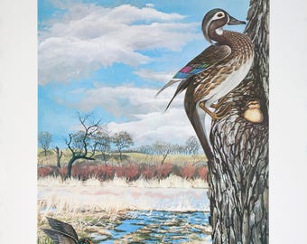 Spring Harbingers by Ken Haag