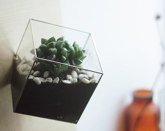 Wall Mount Geometric Glass Terrarium # Cube # Modern Planter for Indoor Gardening. 4 sized