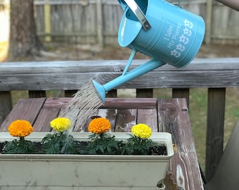 Watering Can with Custom Vinyl