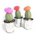 SALE! 33% OFF! Moon Cactus Felt Succulent Plant - Plush Plants - Ready to Ship