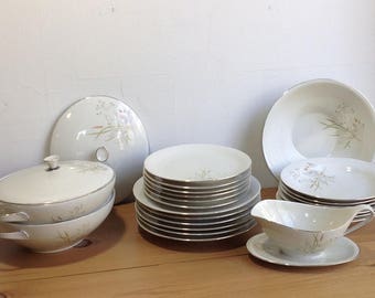 25 % off / Rheinpfalz China Dish Set /