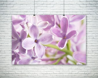 Lilac Flower Print,  Bright Flower Art, Bold Macro Photograph, Large Canvas Wall Art, Purple Violet Home Decor, Close Up Flower Shot