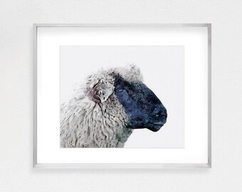 Sheep Print, Sheep Art, Sheep Watercolor, Sheep Painting, Nursery Wall Art, Sheep Gift, Printable Art, Large Wall Art, Sheep Poster