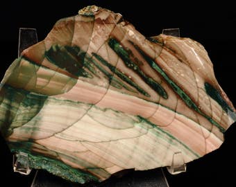 Gorgeous Willow Creek Jasper Slab