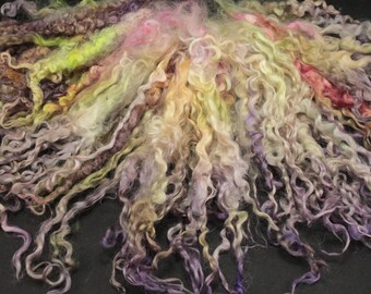 Teeswater separated locks, hand painted fiber fleece for spinning and felting, 2.9 oz