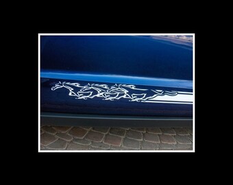 2005 - 2014 Mustang 3 Pony Running Side Rocker Stripe graphics set