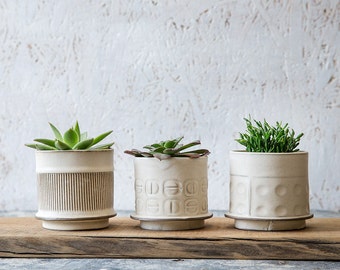 White Ceramic planter, Small Ceramic Planter, Succulent planter, cactus Planter, Modern planter, Indoor Planter, Gardening Gift, SET OF 3