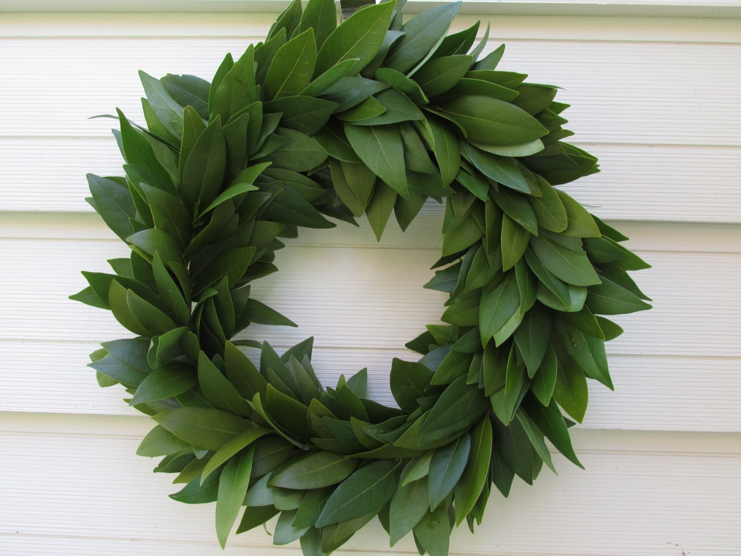 Fresh Bay Leaf Wreath 15 for Home Decor Herbal Cooking