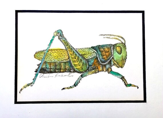 Items similar to Grasshopper Original Drawing Framed Ink and 