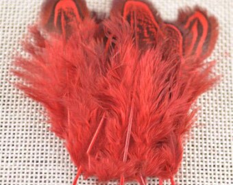 New beautiful natural pheasant feathers 5-10cm/2-4inch