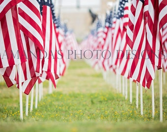 American Flag Background 2