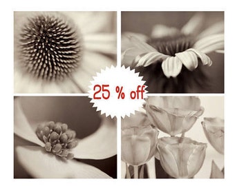 Sepia prints, black and white floral wall decor pictures, flower photography set of 4 botanical print set, brown tan gallery wall art set