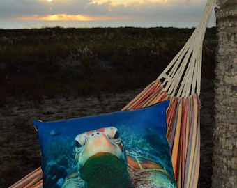 Turtle,Cushions, Great Barrier Reef