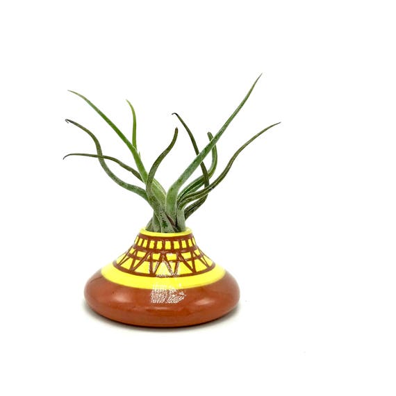 Ceramic Airplant Holder & Plant