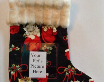 201 Kittens with Mittens Pet Stocking