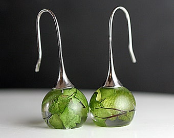 Real leaf earrings. Maidenhair fern in resin spheres. Silver earwires. Big earrings. Gift for her.