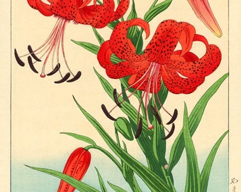 japanese flowers etsy