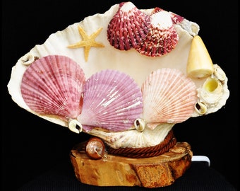 Seashell clam lamp with starfish