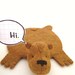 Bear Rug Coaster Set of Two