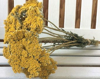 DRIED FLOWERS bunch yellow/gold YARROW Flowers Natural Fragrant Flower Bouquet Wedding Flowers Country Shabby Chic Shower Floral Supplies