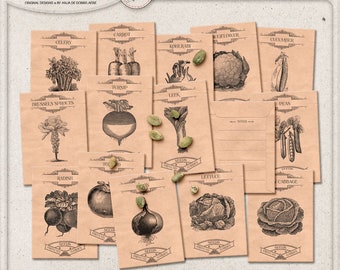 Harvesting Seeds From Vegetables, Seed Savers, Digital Collage Sheet, Instant Download, Printable Seed Envelope, Harvest, For The Garden