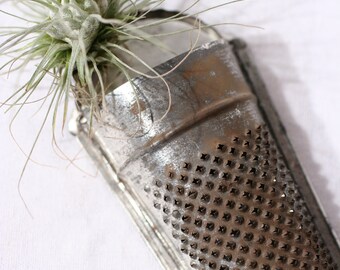 Vintage Rustic Primitive Lemon Zester