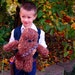 What a Wookie Chewbacca PDF crochet Star Wars toy pattern INSTANT DOWNLOAD