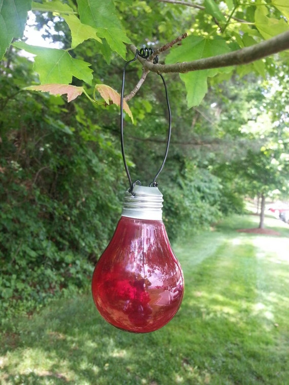 Upcycled Light Bulb Vase Hanging Light Bulb Vase Colored
