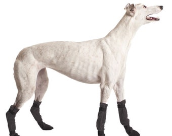GREYHOUND Dog Booties, Dog Shoes, Dog Boots, Greyhound Clothing, Dog Clothing, Dog Clothes, Waterproof Dog Booties, Dog Winter Boots