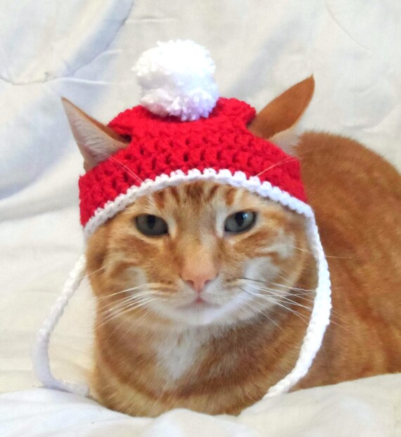 Crochet Cat Hat Christmas Santa Hat for Cats Cat Christmas