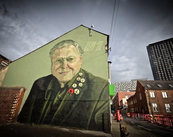 David Attenborough Mural Print