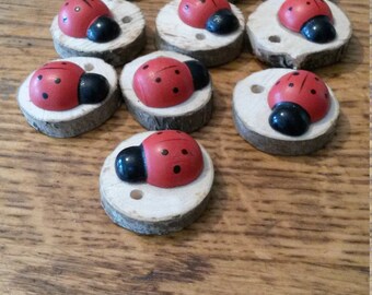 slice of wood natural Ladybug