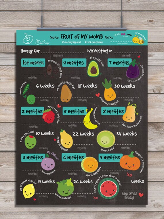 fruit of my womb growth chart baby bump milestones pregnancy baby growth food chart